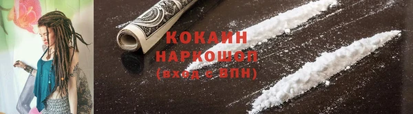 прущие грибы Горно-Алтайск
