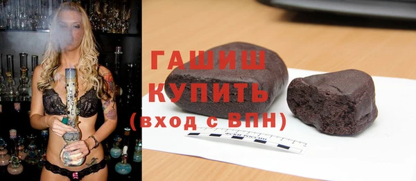 прущие грибы Горно-Алтайск