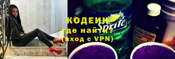прущие грибы Горно-Алтайск