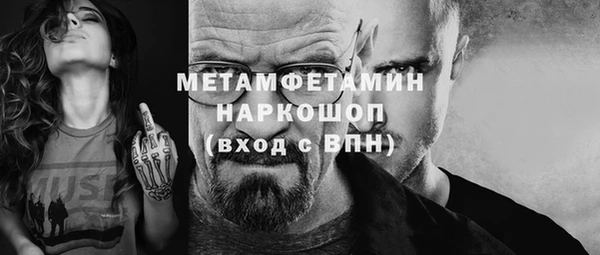 прущие грибы Горно-Алтайск