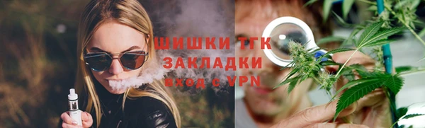 прущие грибы Горно-Алтайск