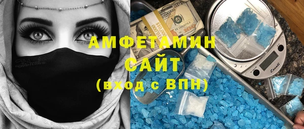 прущие грибы Горно-Алтайск