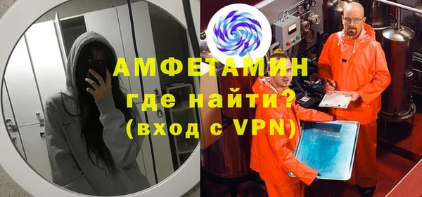 прущие грибы Горно-Алтайск