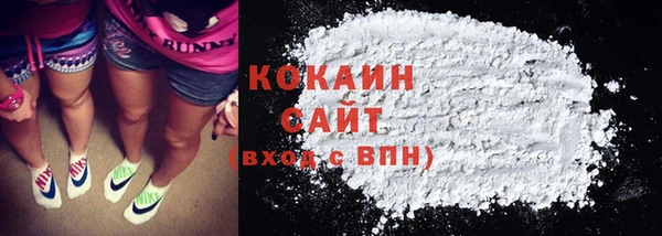 прущие грибы Горно-Алтайск