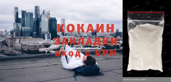 прущие грибы Горно-Алтайск