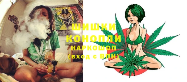 прущие грибы Горно-Алтайск