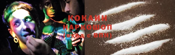 прущие грибы Горно-Алтайск